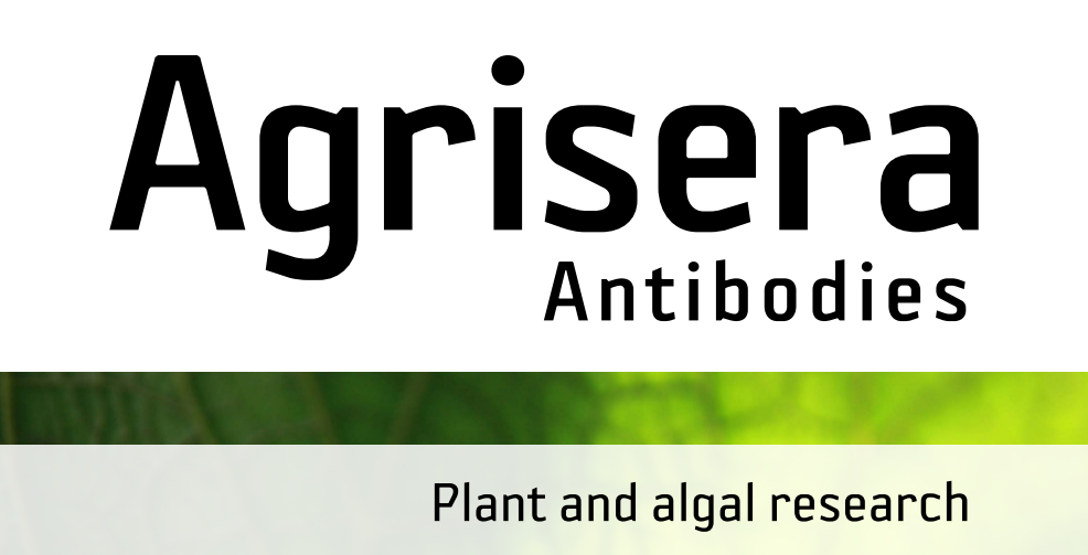 Agrisera MicroRNA相關研究植物蛋白抗體火熱促銷中！